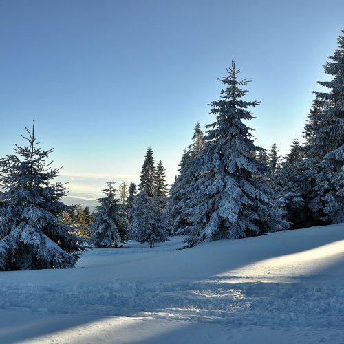 Rodzinne ferie w Zakopanem – dlaczego apartament wygrywa z pokojem hotelowym?